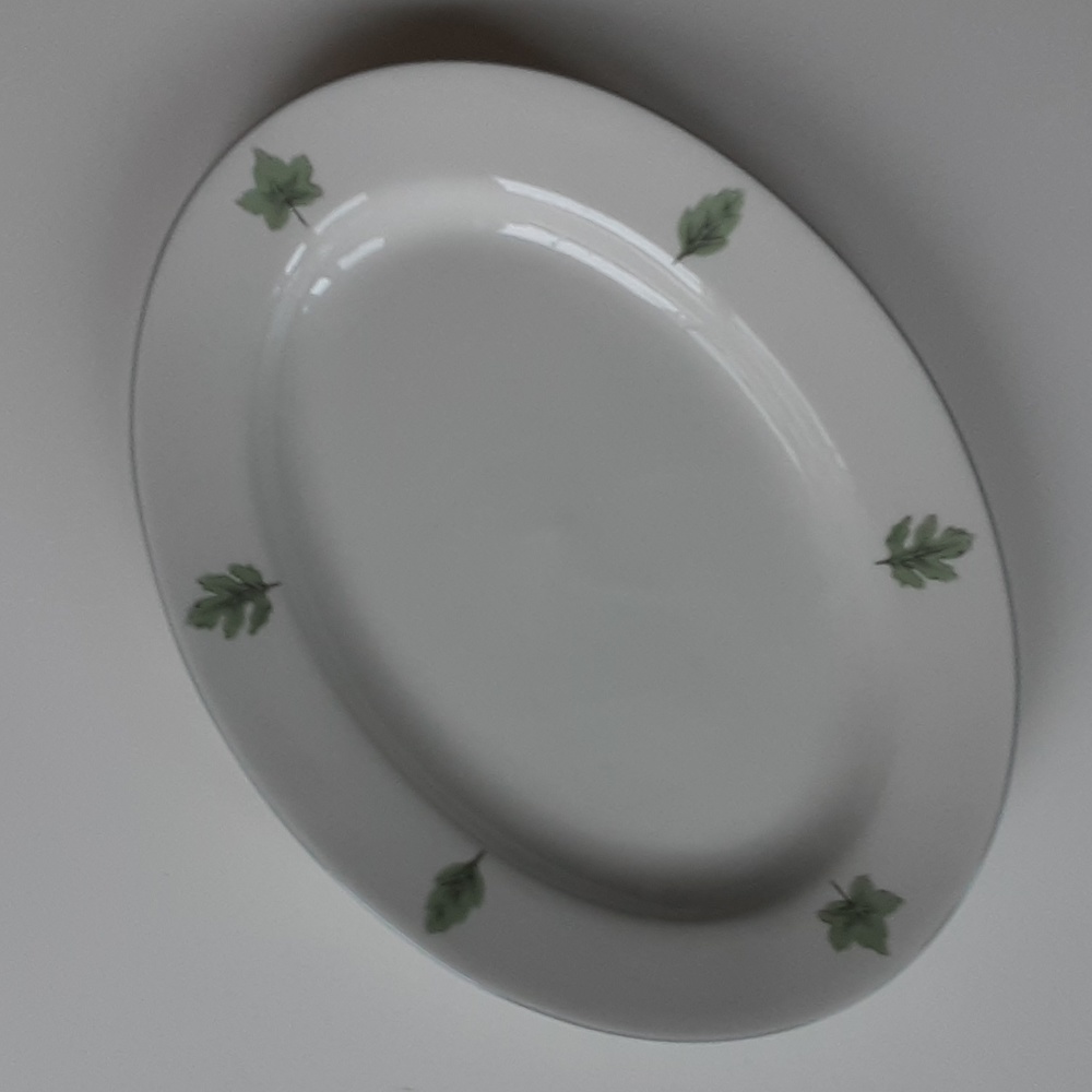Stoneware Oval Serving Platter DAMON WOOD Green Leaves Blue Rim 12" x 8.75"